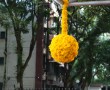 Flower Displays