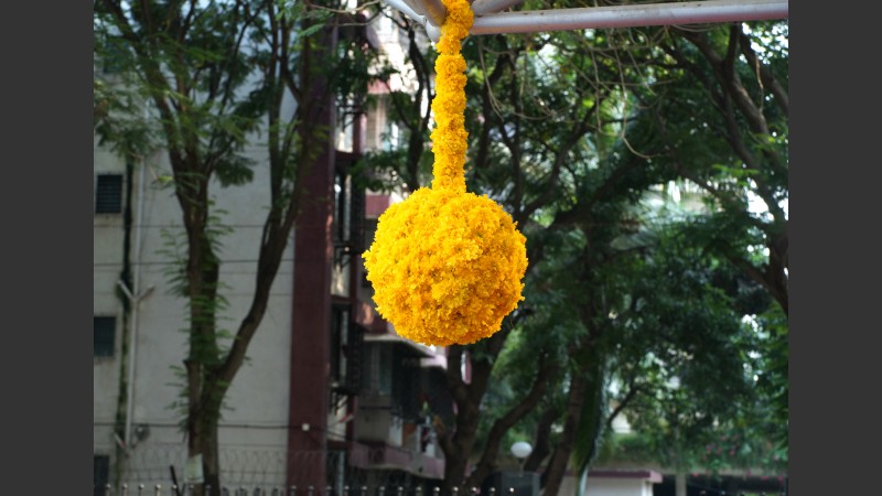 Flower Displays